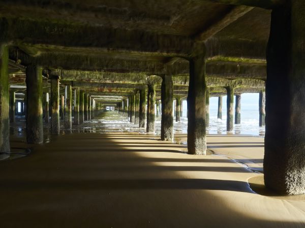 Cost of Concrete Pier Repair in Santa Cruz